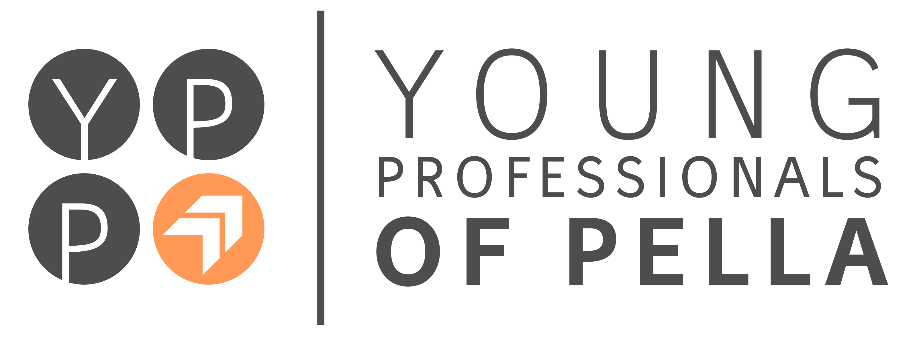 Young Professionals of Pella